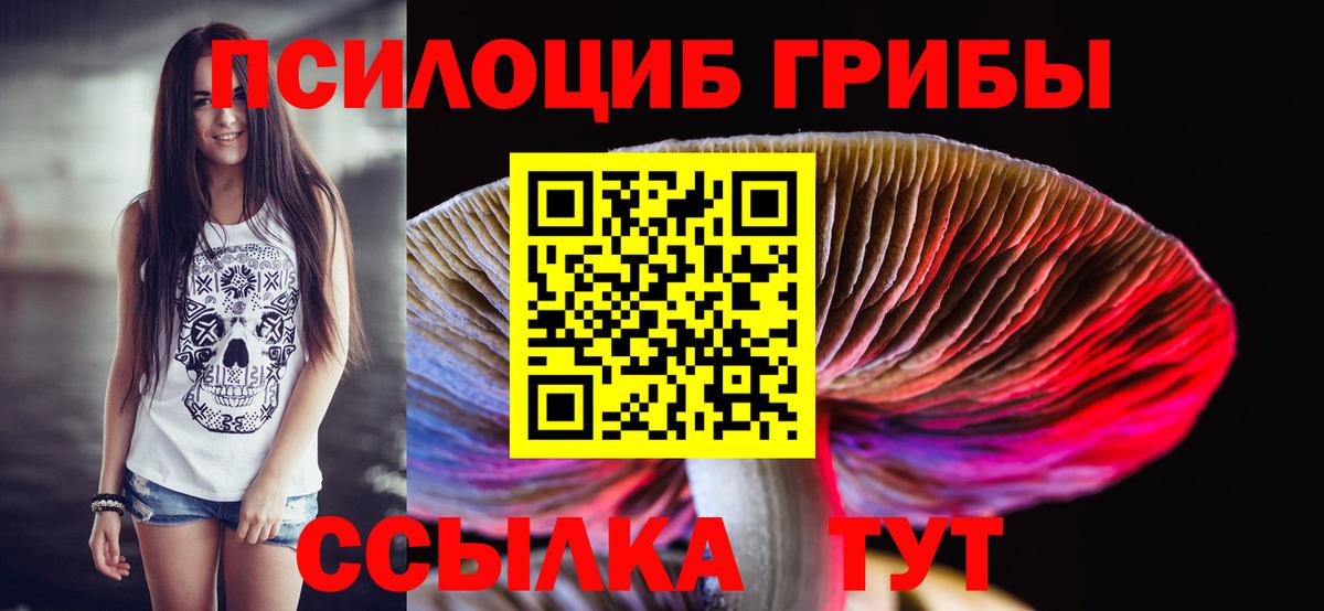 Галлюциногенные грибы Psilocybe  Псилоцибиновые грибы Psilocybine cubensis  Вход с VPN  Курганинск 
